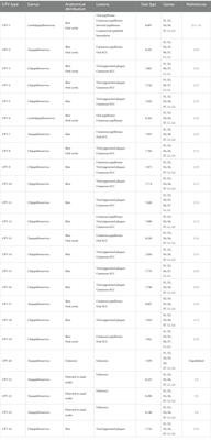 Canine and feline papillomaviruses: an update